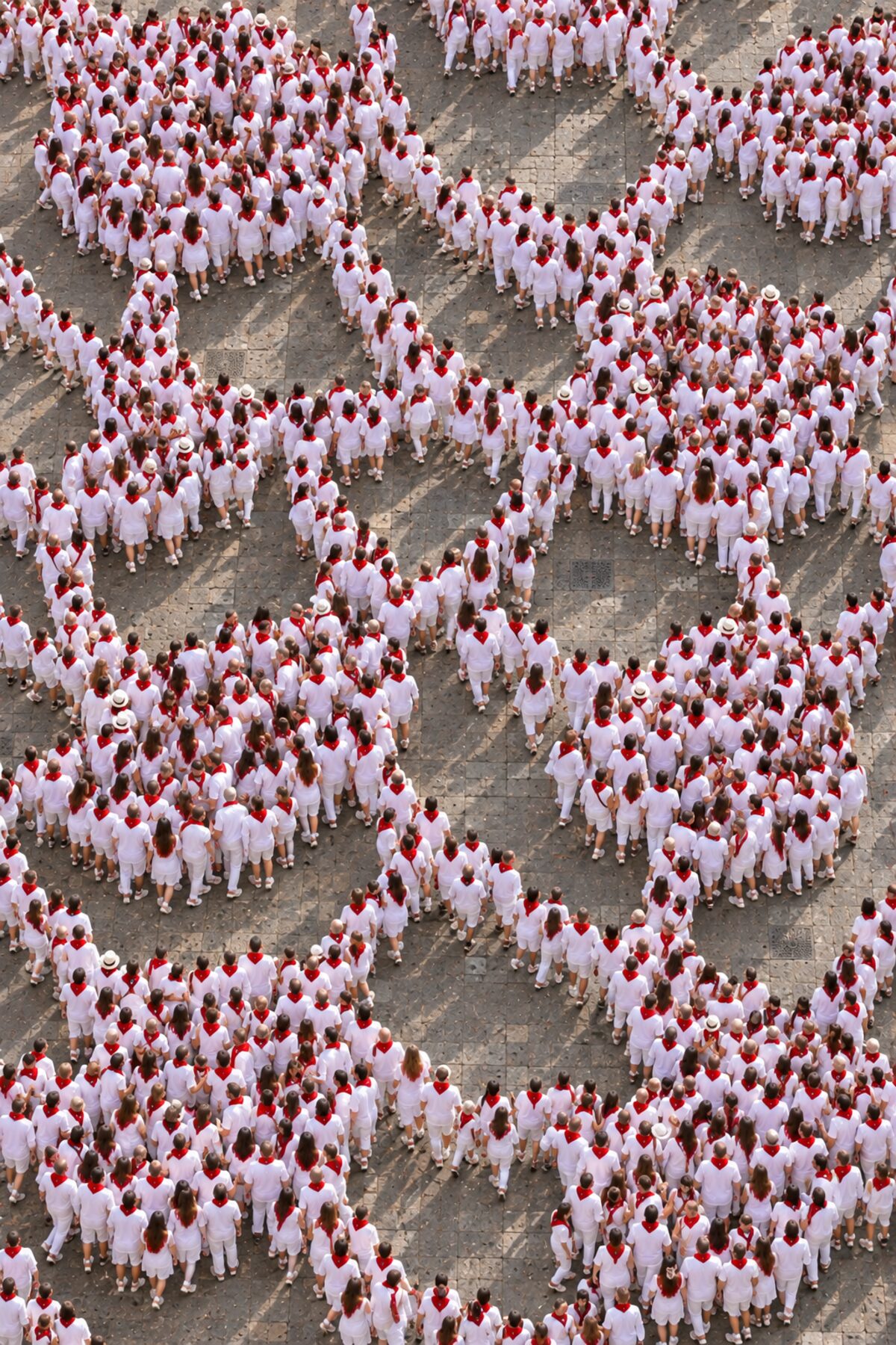 Persone viste dall'alto, coordinamento del network